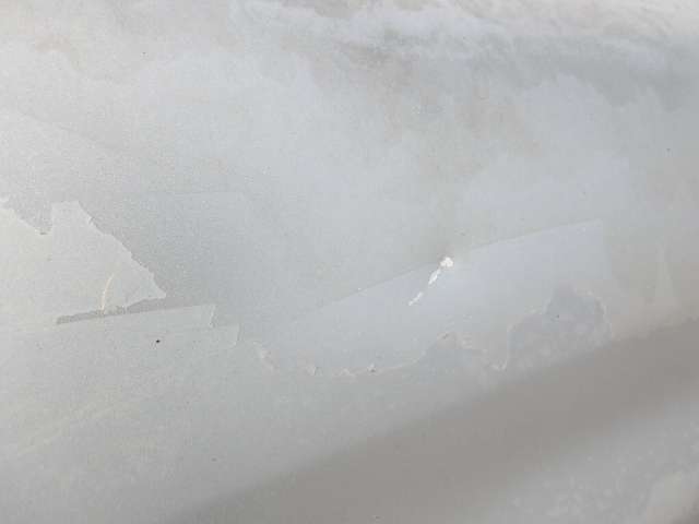 290.jpg
