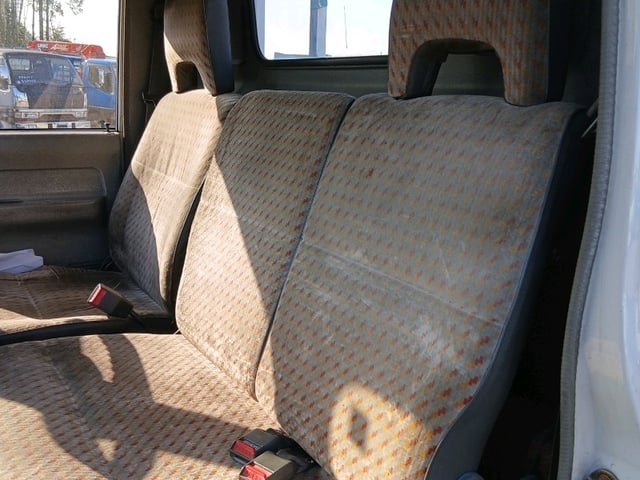 295.jpg