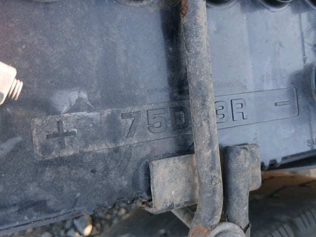 286.jpg