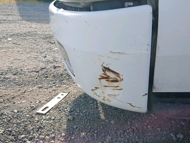 282.jpg