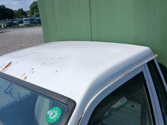 283.jpg