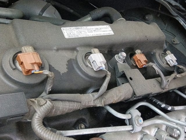 281.jpg