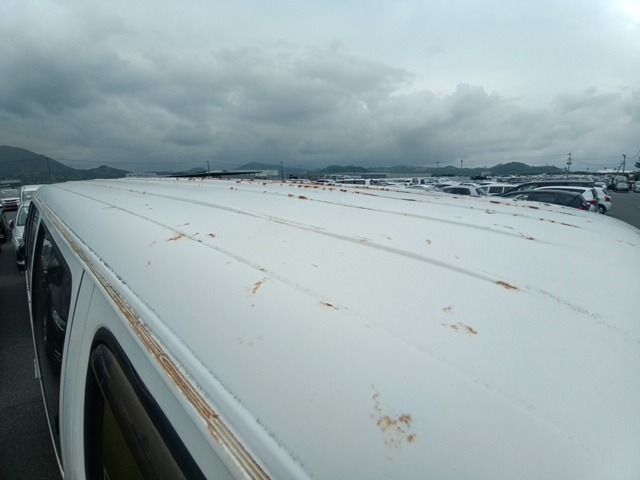 290.jpg