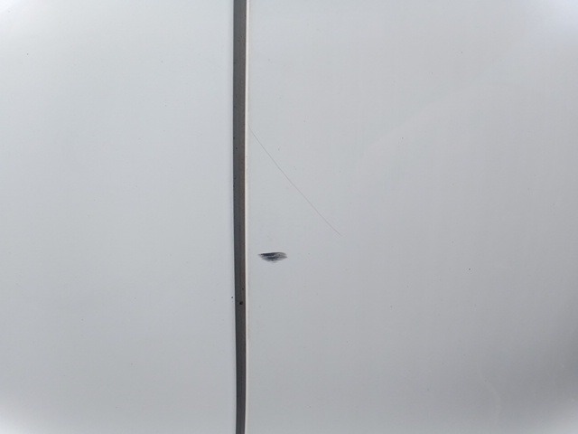 280.jpg