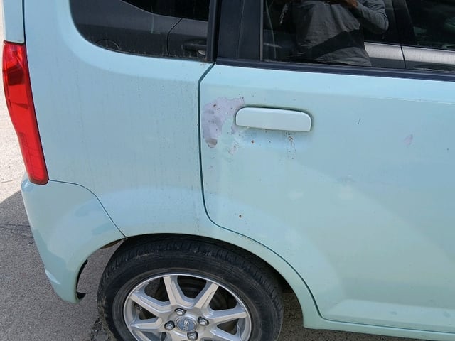 281.jpg