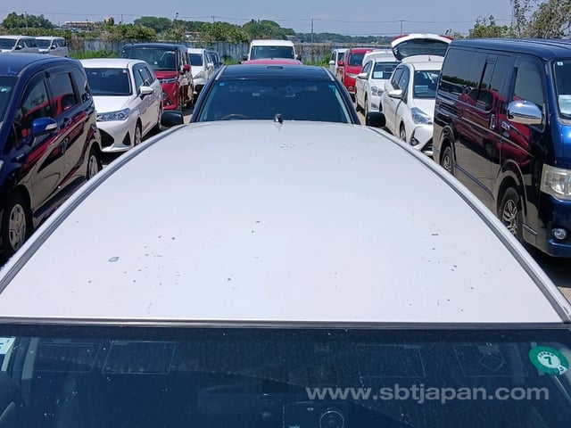 29.jpg