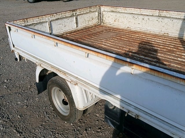 291.jpg