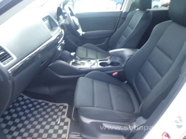 12.jpg