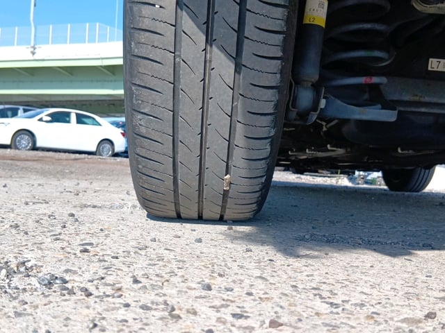 25.jpg