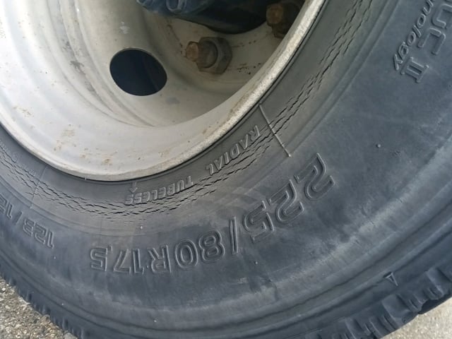 286.jpg