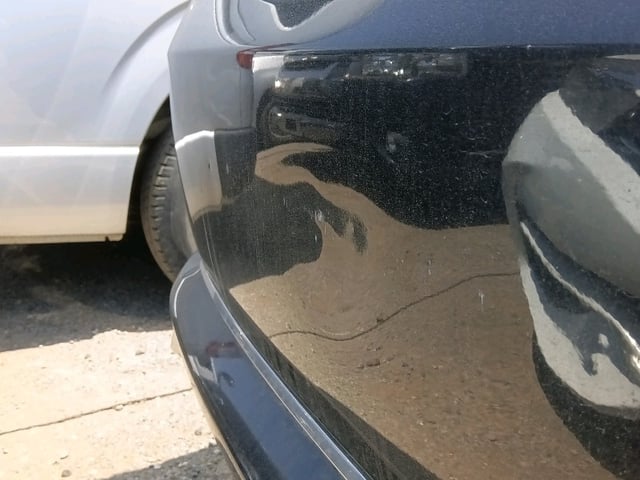 281.jpg