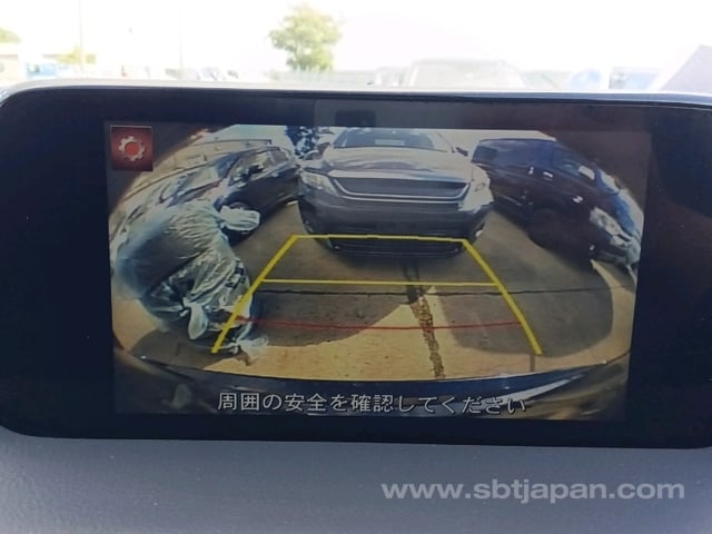 43.jpg