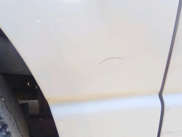 291.jpg