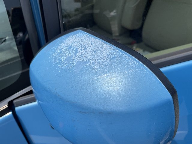 282.jpg