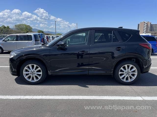 5.jpg