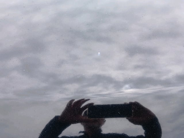 290.jpg