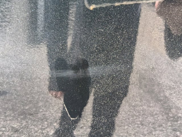 282.jpg