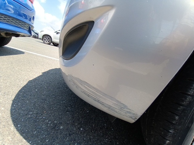 282.jpg