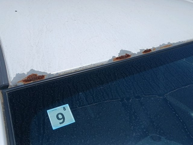 282.jpg