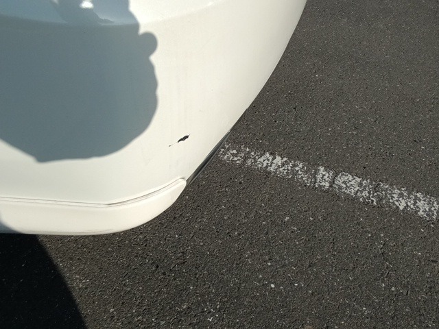 281.jpg