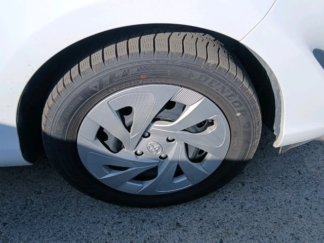 291.jpg