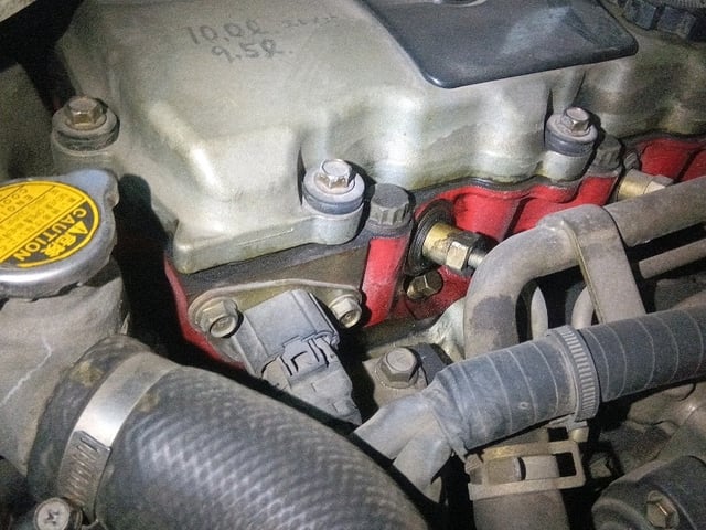 286.jpg