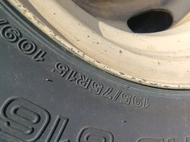 281.jpg