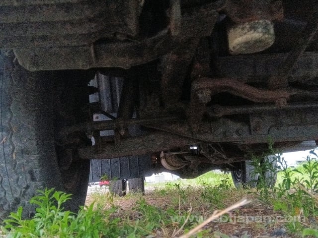 25.jpg