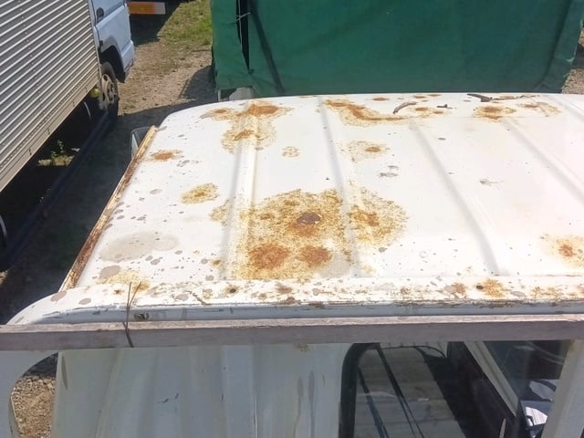 290.jpg