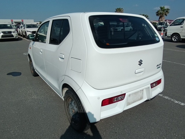 SUZUKI ALTO photo 3
