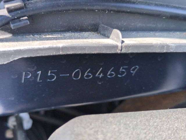 281.jpg