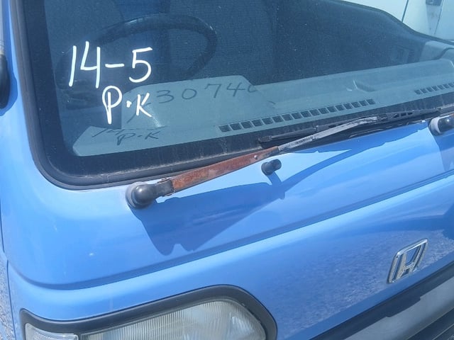 281.jpg