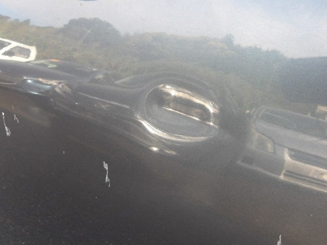 282.jpg