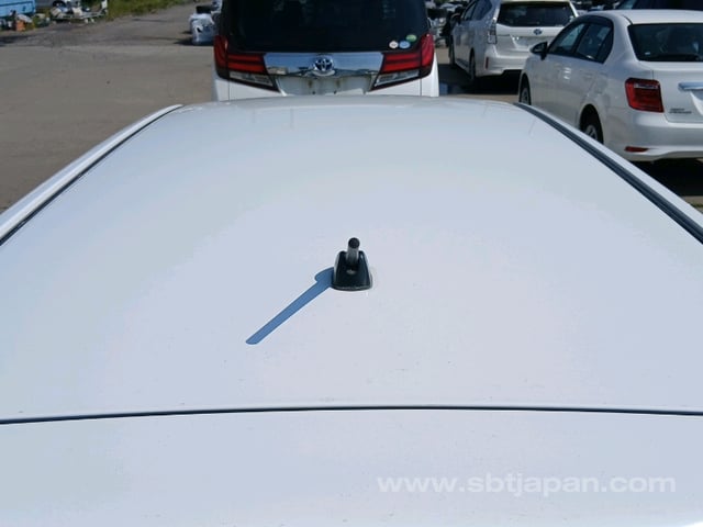 40.jpg