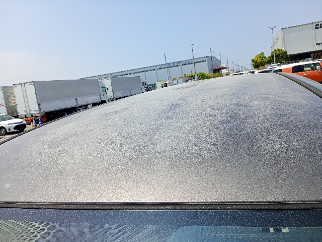281.jpg