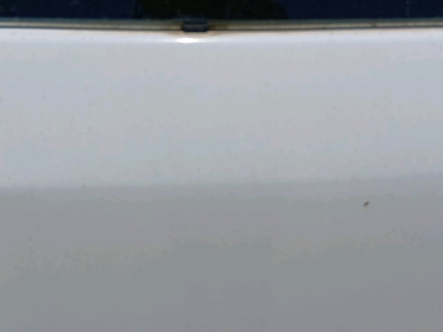281.jpg
