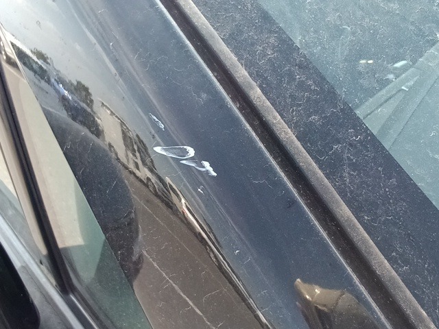284.jpg