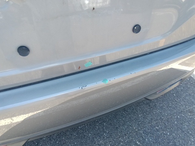 282.jpg