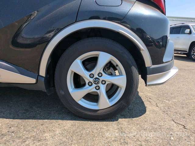 27.jpg