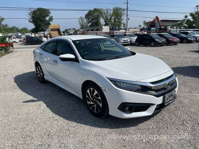 f.jpg