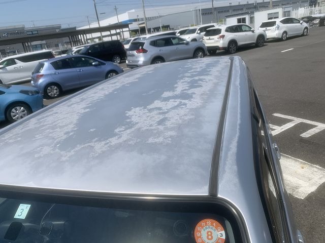 298.jpg