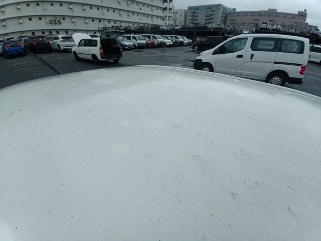 283.jpg