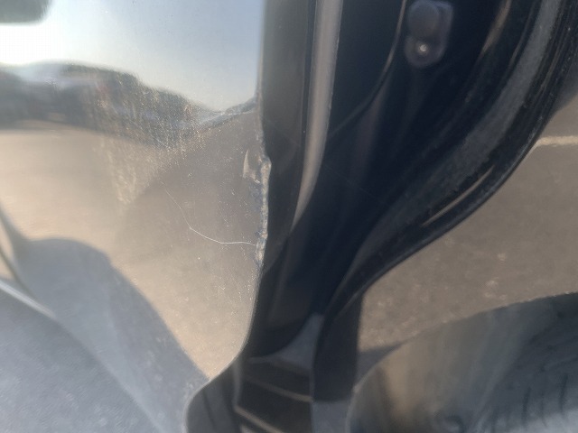 282.jpg