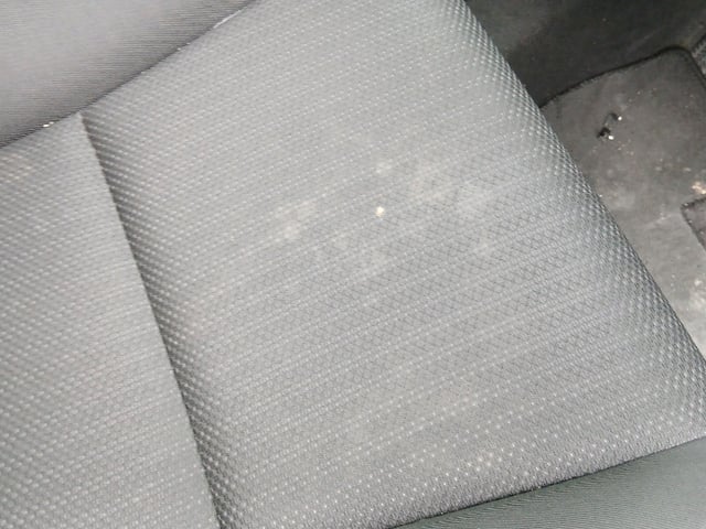 280.jpg