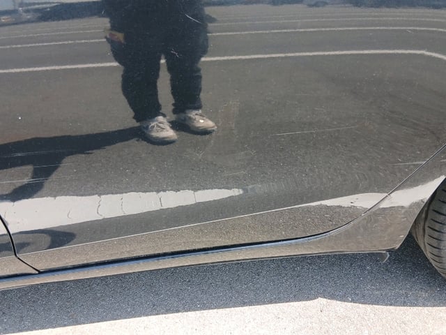 282.jpg