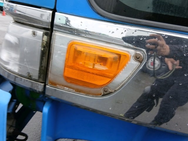 295.jpg