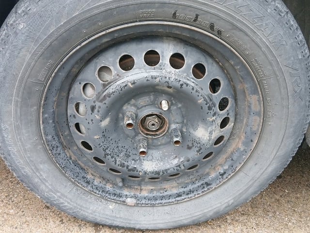 283.jpg