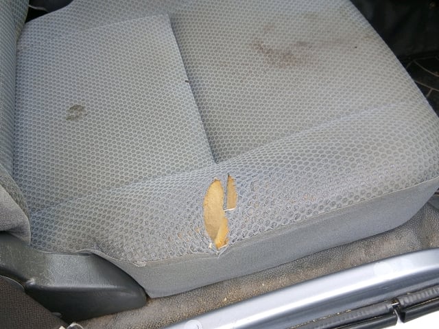 281.jpg