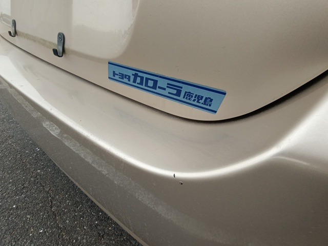 281.jpg