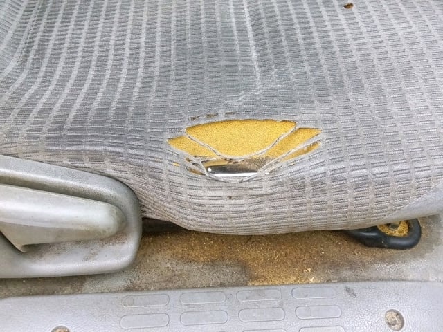 288.jpg